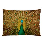 Peacock Feather Bird Peafowl Pillow Case 26.62 x18.9  Pillow Case