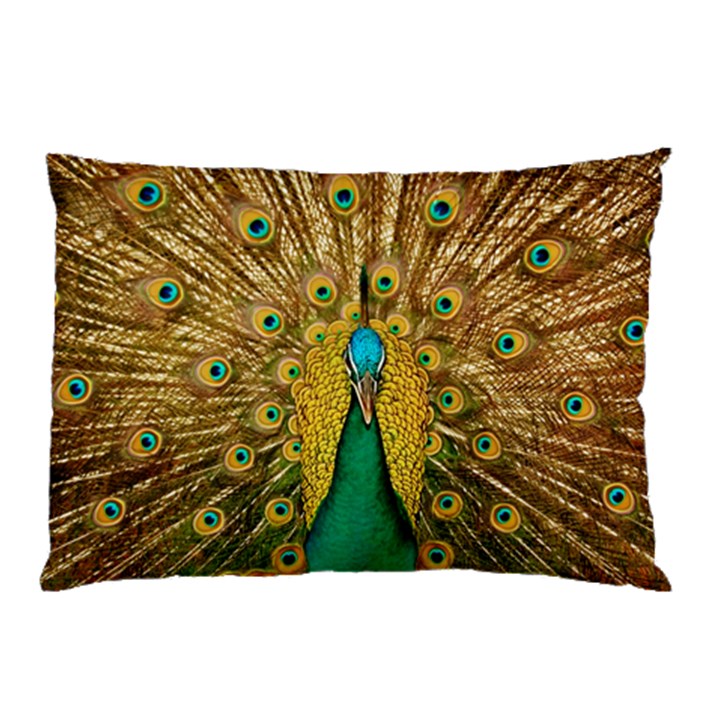 Peacock Feather Bird Peafowl Pillow Case