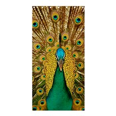 Peacock Feather Bird Peafowl Shower Curtain 36  X 72  (stall)  by Cemarart