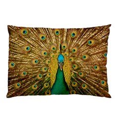 Peacock Feather Bird Peafowl Pillow Case (two Sides) by Cemarart