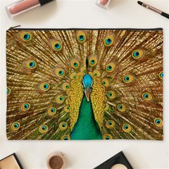 Peacock Feather Bird Peafowl Cosmetic Bag (xxxl) by Cemarart