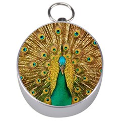 Peacock Feather Bird Peafowl Silver Compasses by Cemarart