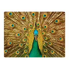 Peacock Feather Bird Peafowl Two Sides Premium Plush Fleece Blanket (mini) by Cemarart