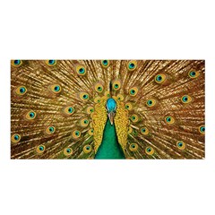 Peacock Feather Bird Peafowl Satin Shawl 45  X 80  by Cemarart