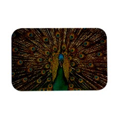 Peacock Feather Bird Peafowl Open Lid Metal Box (silver)   by Cemarart