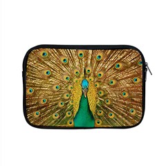 Peacock Feather Bird Peafowl Apple Macbook Pro 15  Zipper Case by Cemarart