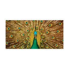 Peacock Feather Bird Peafowl Yoga Headband by Cemarart