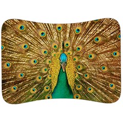 Peacock Feather Bird Peafowl Velour Seat Head Rest Cushion by Cemarart