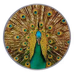 Peacock Feather Bird Peafowl Wireless Fast Charger(white) by Cemarart