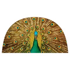 Peacock Feather Bird Peafowl Anti Scalding Pot Cap by Cemarart