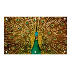 Peacock Feather Bird Peafowl Banner And Sign 5  X 3  by Cemarart