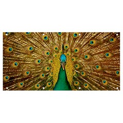 Peacock Feather Bird Peafowl Banner And Sign 8  X 4  by Cemarart