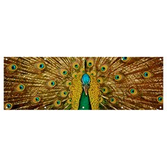 Peacock Feather Bird Peafowl Banner And Sign 12  X 4  by Cemarart