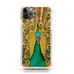 Peacock Feather Bird Peafowl Iphone 11 Pro Max 6 5 Inch Tpu Uv Print Case by Cemarart