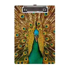 Peacock Feather Bird Peafowl A5 Acrylic Clipboard by Cemarart