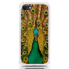 Peacock Feather Bird Peafowl Iphone Se by Cemarart