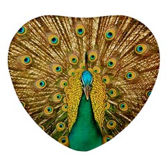 Peacock Feather Bird Peafowl Heart Glass Fridge Magnet (4 Pack) by Cemarart