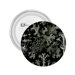 Weave Haeckel Lichenes Photobionten 2 25  Buttons by Cemarart