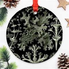 Weave Haeckel Lichenes Photobionten Ornament (round) by Cemarart