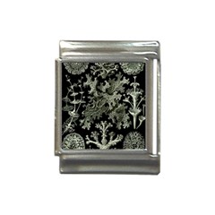 Weave Haeckel Lichenes Photobionten Italian Charm (13mm) by Cemarart