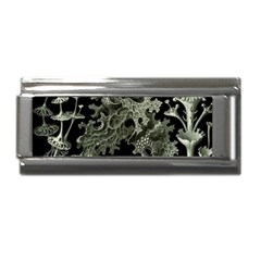 Weave Haeckel Lichenes Photobionten Superlink Italian Charm (9mm) by Cemarart