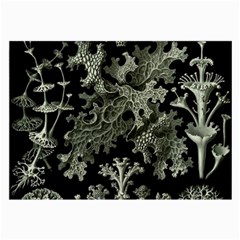 Weave Haeckel Lichenes Photobionten Large Glasses Cloth by Cemarart