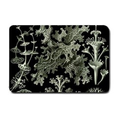 Weave Haeckel Lichenes Photobionten Small Doormat by Cemarart