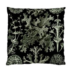 Weave Haeckel Lichenes Photobionten Standard Cushion Case (one Side) by Cemarart