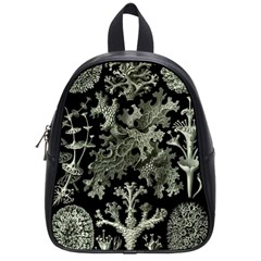 Weave Haeckel Lichenes Photobionten School Bag (small) by Cemarart