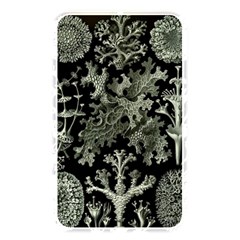 Weave Haeckel Lichenes Photobionten Memory Card Reader (rectangular) by Cemarart