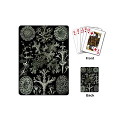 Weave Haeckel Lichenes Photobionten Playing Cards Single Design (mini) by Cemarart