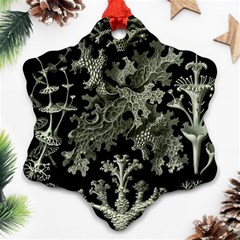 Weave Haeckel Lichenes Photobionten Ornament (snowflake) by Cemarart