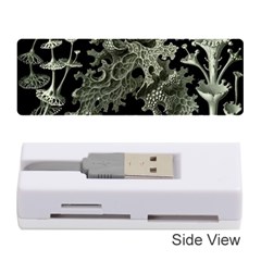 Weave Haeckel Lichenes Photobionten Memory Card Reader (stick) by Cemarart