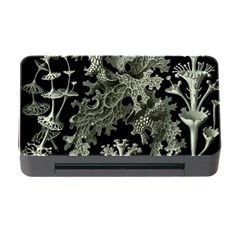 Weave Haeckel Lichenes Photobionten Memory Card Reader With Cf by Cemarart