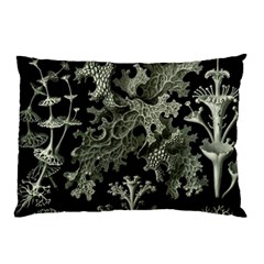 Weave Haeckel Lichenes Photobionten Pillow Case (two Sides) by Cemarart