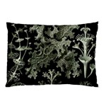 Weave Haeckel Lichenes Photobionten Pillow Case (Two Sides) Front