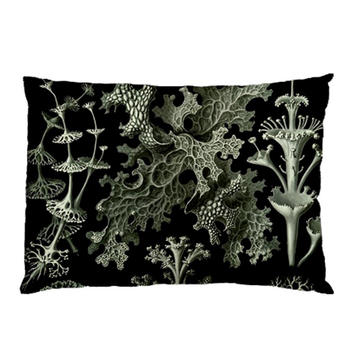 Weave Haeckel Lichenes Photobionten Pillow Case (Two Sides)