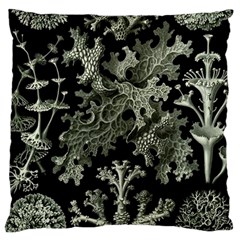 Weave Haeckel Lichenes Photobionten Large Cushion Case (one Side) by Cemarart