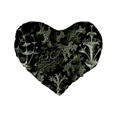 Weave Haeckel Lichenes Photobionten Standard 16  Premium Heart Shape Cushions by Cemarart