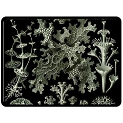 Weave Haeckel Lichenes Photobionten Two Sides Fleece Blanket (large) by Cemarart