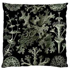 Weave Haeckel Lichenes Photobionten Standard Premium Plush Fleece Cushion Case (two Sides) by Cemarart