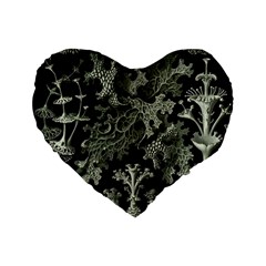 Weave Haeckel Lichenes Photobionten Standard 16  Premium Flano Heart Shape Cushions by Cemarart