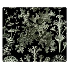 Weave Haeckel Lichenes Photobionten Two Sides Premium Plush Fleece Blanket (small) by Cemarart