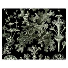 Weave Haeckel Lichenes Photobionten Two Sides Premium Plush Fleece Blanket (medium) by Cemarart