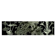 Weave Haeckel Lichenes Photobionten Oblong Satin Scarf (16  X 60 ) by Cemarart