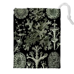 Weave Haeckel Lichenes Photobionten Drawstring Pouch (4xl) by Cemarart