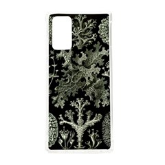 Weave Haeckel Lichenes Photobionten Samsung Galaxy Note 20 Tpu Uv Case by Cemarart