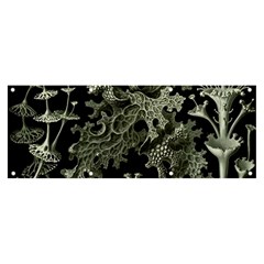 Weave Haeckel Lichenes Photobionten Banner And Sign 8  X 3  by Cemarart