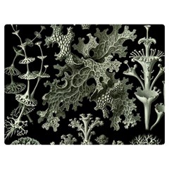 Weave Haeckel Lichenes Photobionten Premium Plush Fleece Blanket (extra Small) by Cemarart