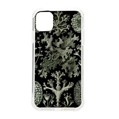 Weave Haeckel Lichenes Photobionten Iphone 11 Tpu Uv Print Case by Cemarart